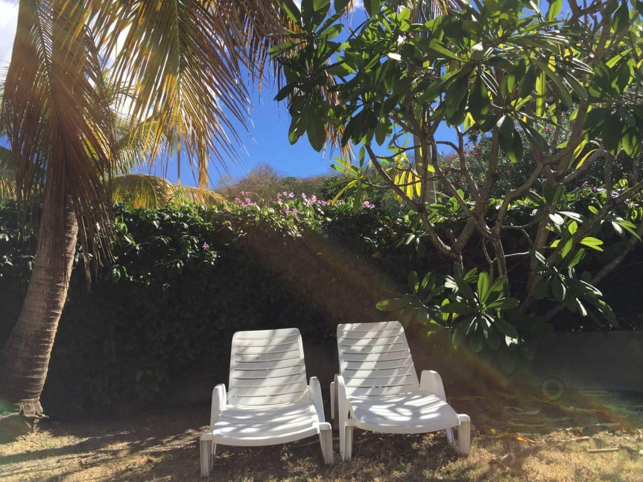 Appartement T2 tropical en bord de piscine à 100m de la mer à Le Carbet Extérieur photo